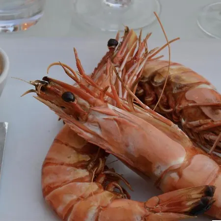 Les Pieds Dans L'eau A Saint-mandrier